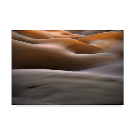 Arash Karimi 'Orange Landscape' Canvas Art,30x47